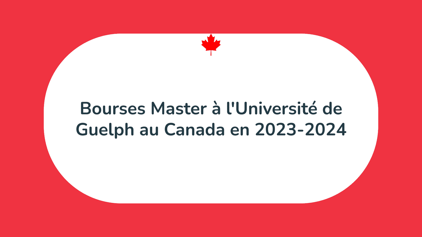 Bourses Master à l'Université de Guelph