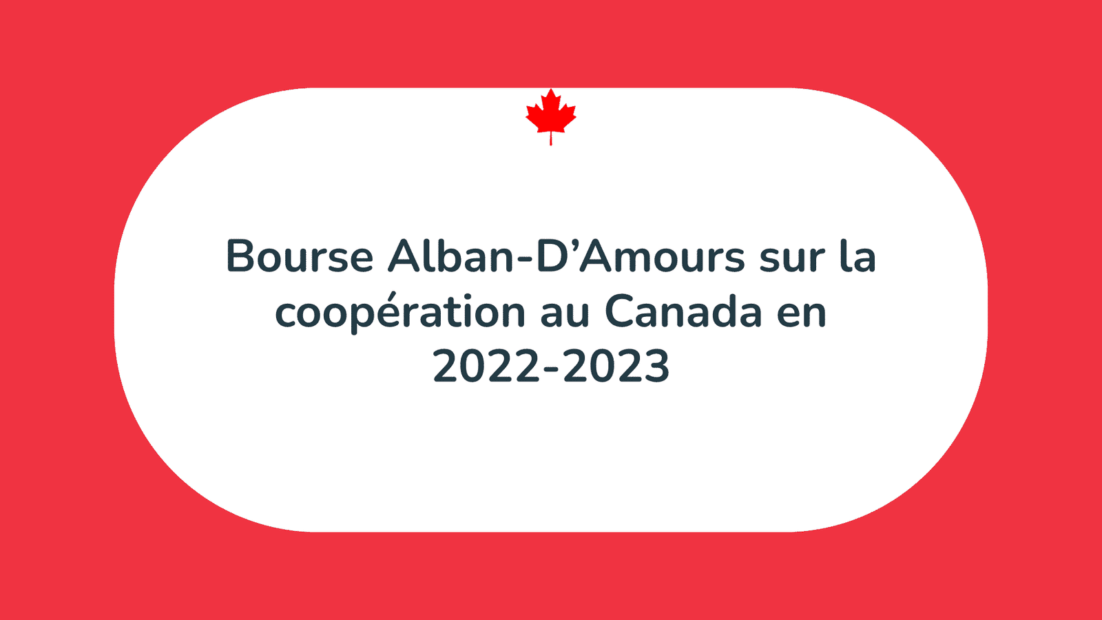 Bourse Alban-D’Amours sur la coopération