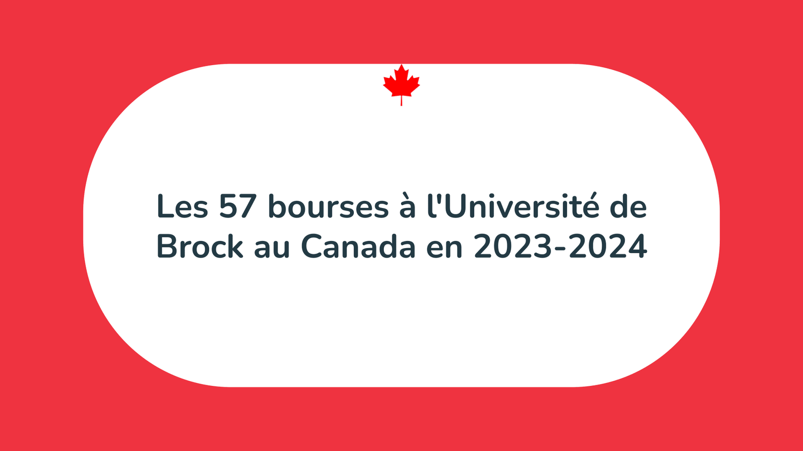 Bourses à l'Université de Brock