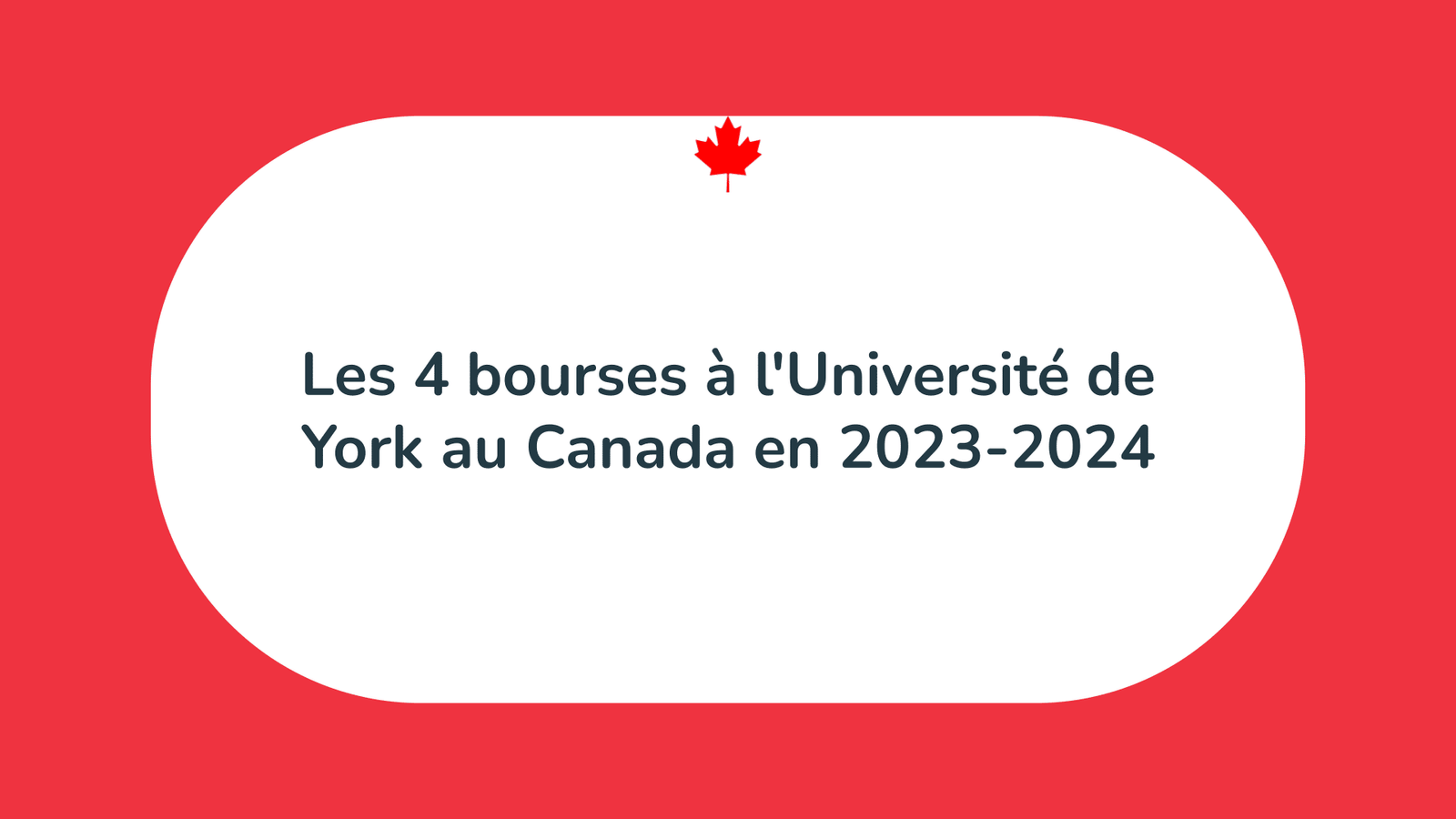 Bourses à l'Université de York